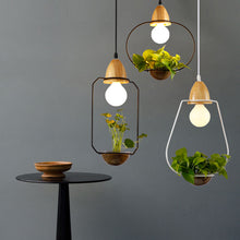 Load image into Gallery viewer, Modern Nordic Plants Pot Glass Wood Pendant Light for Dining Room