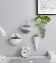 Load image into Gallery viewer, 2020 New Creative Wall Mounted Acrylic Vase Wall Hanging Planter Plant Flower Pot Holder
