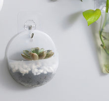 Load image into Gallery viewer, 2020 New Creative Wall Mounted Acrylic Vase Wall Hanging Planter Plant Flower Pot Holder
