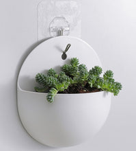 Load image into Gallery viewer, 2020 New Creative Wall Mounted Acrylic Vase Wall Hanging Planter Plant Flower Pot Holder
