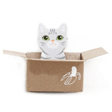 Load image into Gallery viewer, FangNymph Cute Cat Dog Box Stickers Scrapbooking Kawaii 3D Cartoon Stationery Sticky Notes School Supplies Post It Memo Pad
